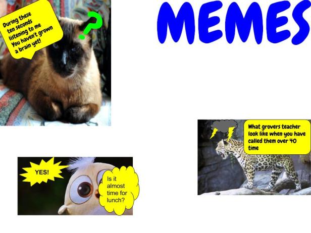 memes