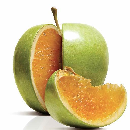 Image result for freakonomics