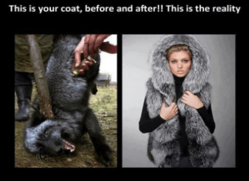 Screen Shot 2019-06-26 at 5.24.38 PM